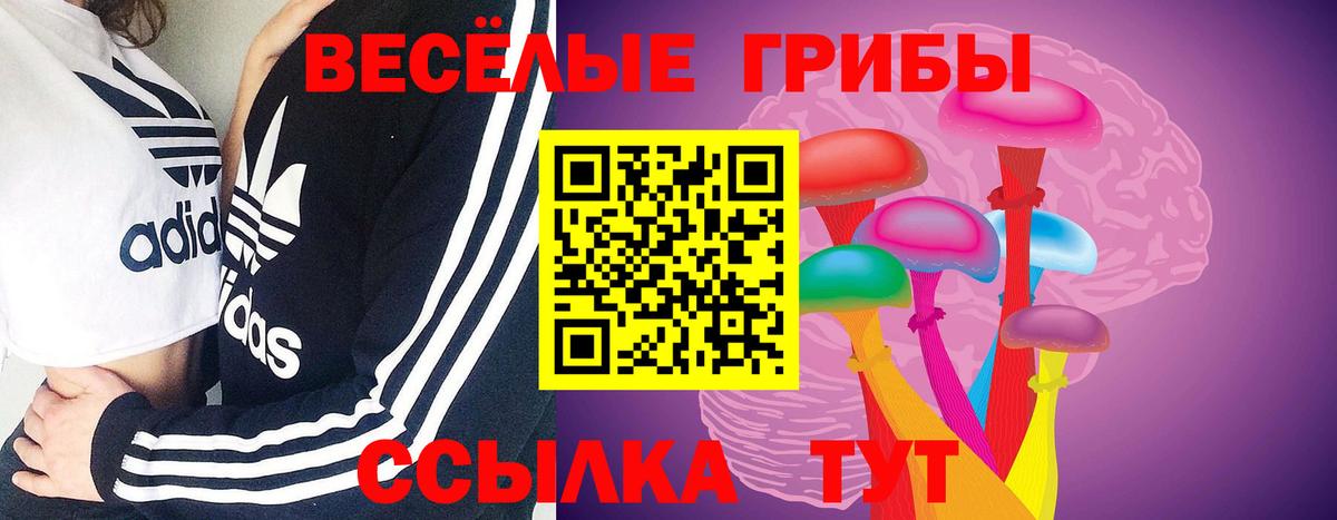 Псилоцибиновые грибы прущие грибы  Псилоцибиновые грибы Magic Shrooms  Вход с VPN  Протвино 